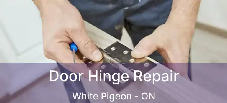  Door Hinge Repair White Pigeon - ON