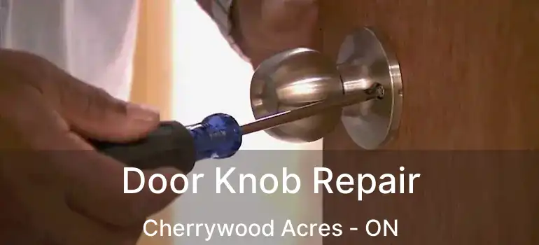  Door Knob Repair Cherrywood Acres - ON