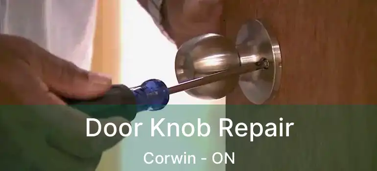  Door Knob Repair Corwin - ON