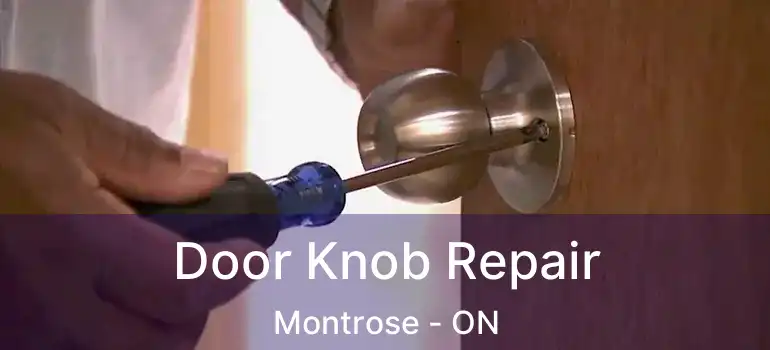  Door Knob Repair Montrose - ON