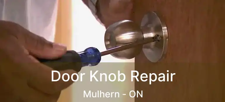  Door Knob Repair Mulhern - ON