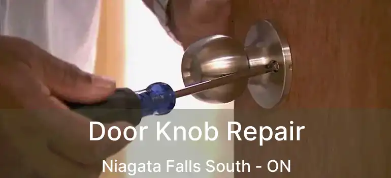  Door Knob Repair Niagata Falls South - ON