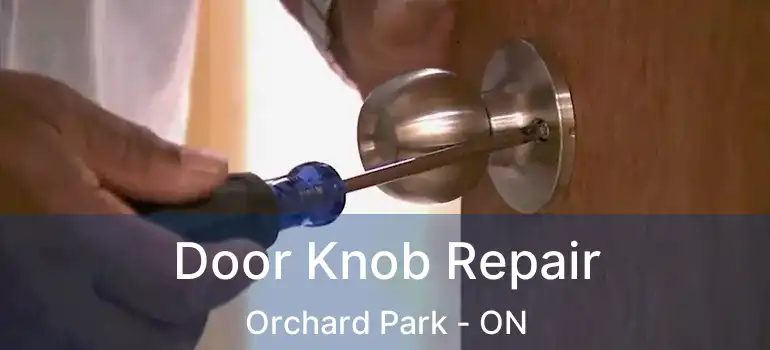  Door Knob Repair Orchard Park - ON