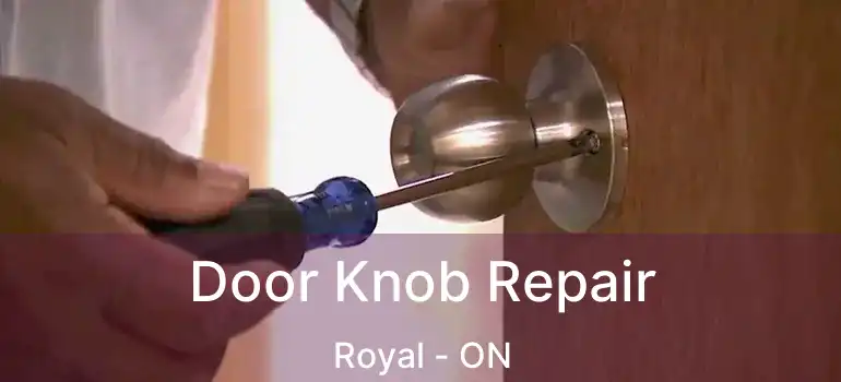  Door Knob Repair Royal - ON