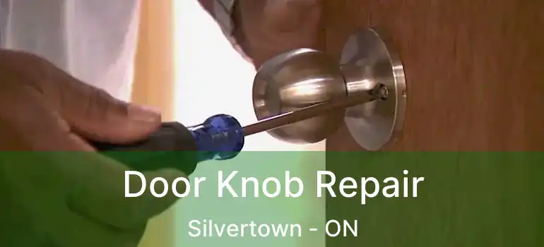  Door Knob Repair Silvertown - ON