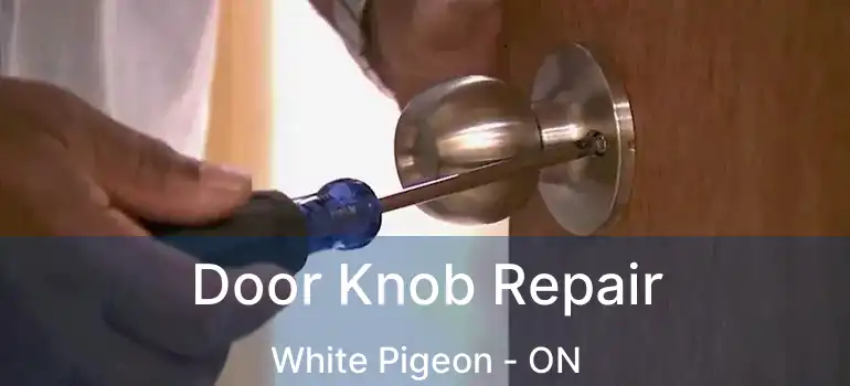  Door Knob Repair White Pigeon - ON