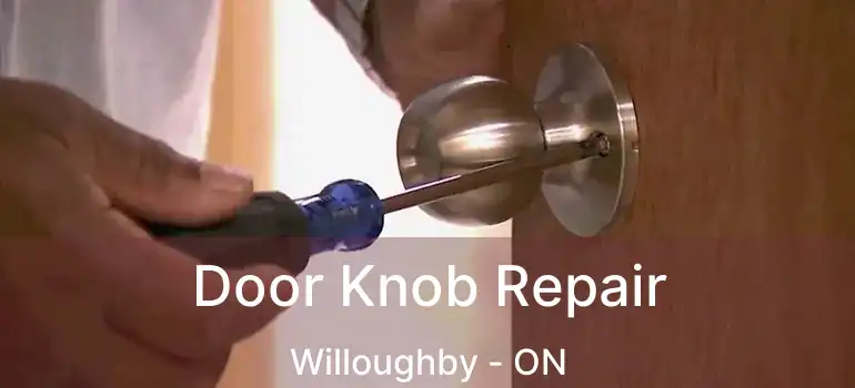  Door Knob Repair Willoughby - ON