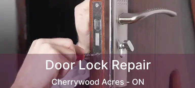  Door Lock Repair Cherrywood Acres - ON