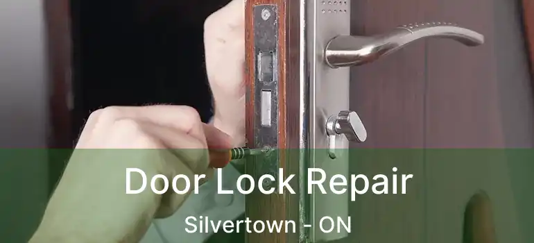  Door Lock Repair Silvertown - ON