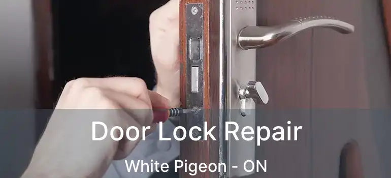  Door Lock Repair White Pigeon - ON