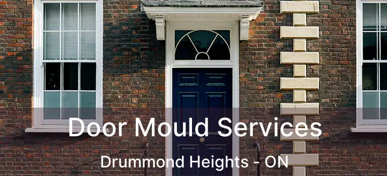  Door Mould Services Drummond Heights - ON