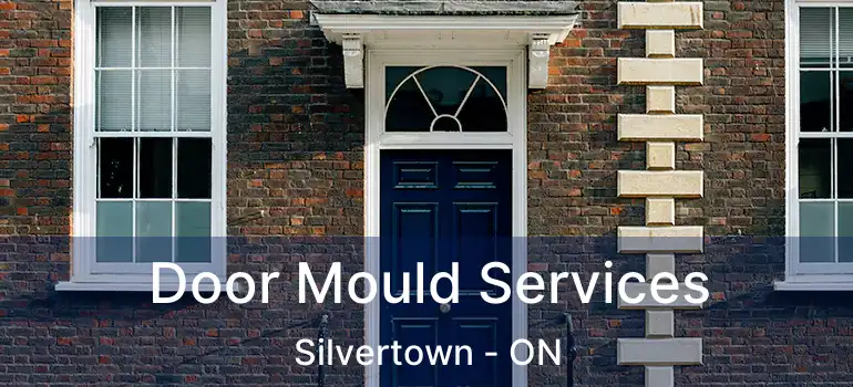  Door Mould Services Silvertown - ON