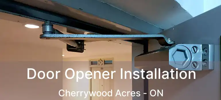  Door Opener Installation Cherrywood Acres - ON