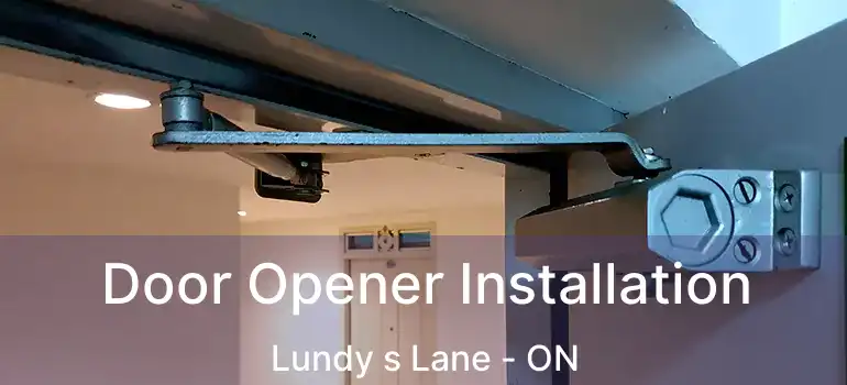  Door Opener Installation Lundy s Lane - ON