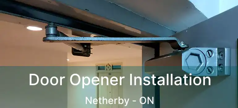  Door Opener Installation Netherby - ON