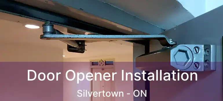  Door Opener Installation Silvertown - ON