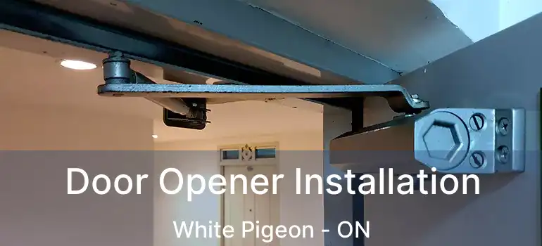  Door Opener Installation White Pigeon - ON