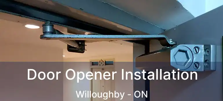  Door Opener Installation Willoughby - ON