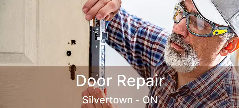  Door Repair Silvertown - ON