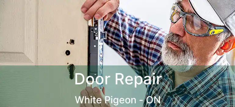  Door Repair White Pigeon - ON