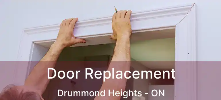  Door Replacement Drummond Heights - ON