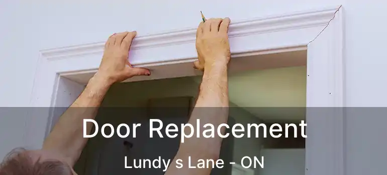  Door Replacement Lundy s Lane - ON