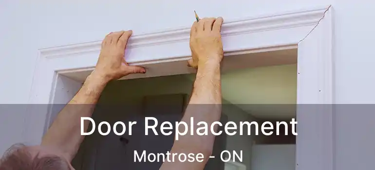  Door Replacement Montrose - ON