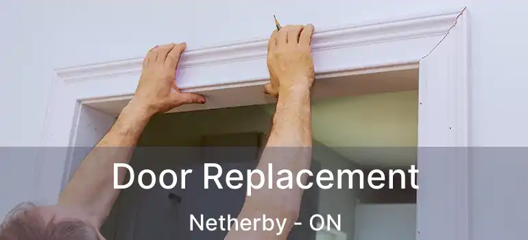  Door Replacement Netherby - ON