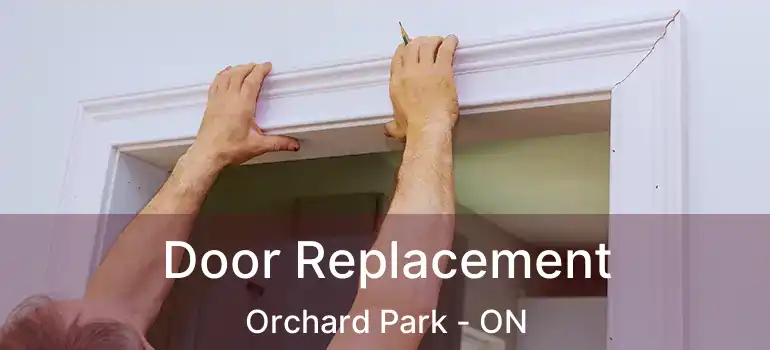  Door Replacement Orchard Park - ON