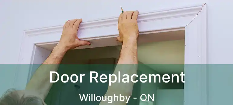  Door Replacement Willoughby - ON