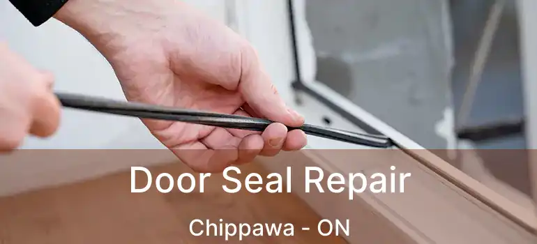  Door Seal Repair Chippawa - ON