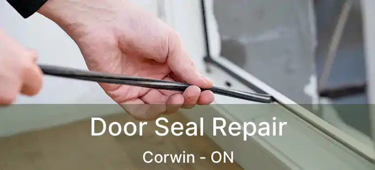  Door Seal Repair Corwin - ON