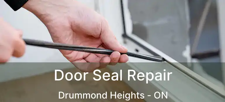  Door Seal Repair Drummond Heights - ON