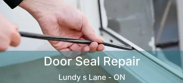  Door Seal Repair Lundy s Lane - ON