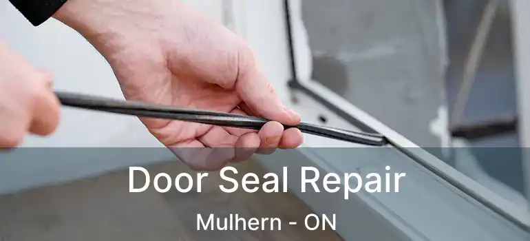  Door Seal Repair Mulhern - ON