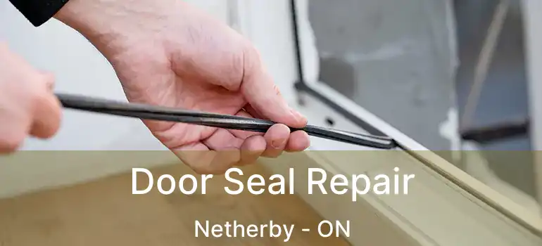  Door Seal Repair Netherby - ON