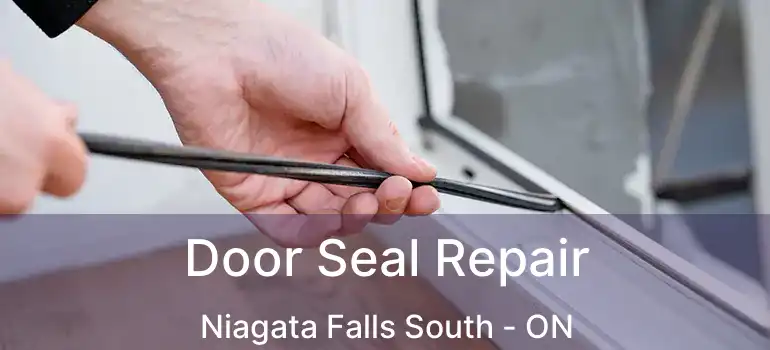  Door Seal Repair Niagata Falls South - ON