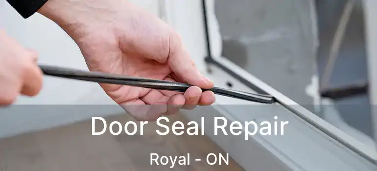  Door Seal Repair Royal - ON