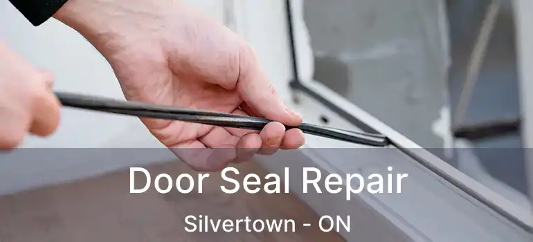  Door Seal Repair Silvertown - ON