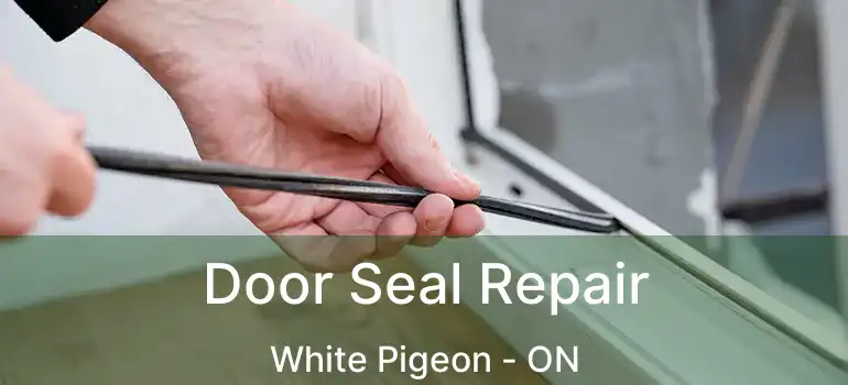  Door Seal Repair White Pigeon - ON