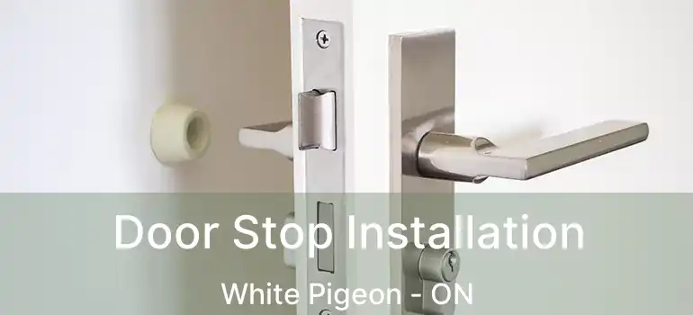  Door Stop Installation White Pigeon - ON