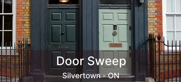  Door Sweep Silvertown - ON