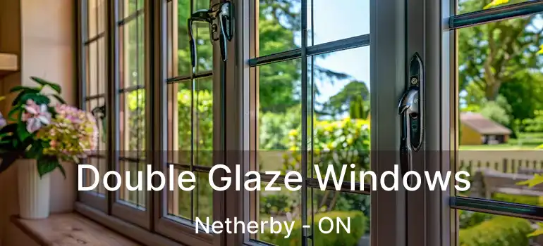  Double Glaze Windows Netherby - ON