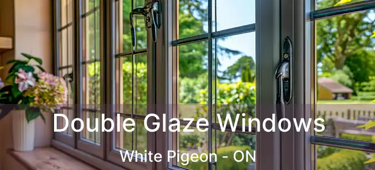  Double Glaze Windows White Pigeon - ON