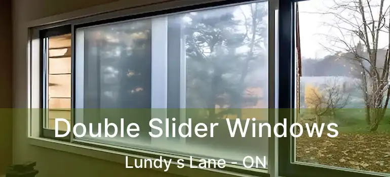  Double Slider Windows Lundy s Lane - ON