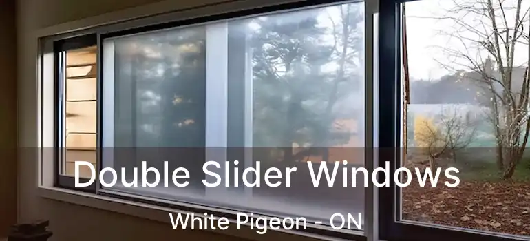  Double Slider Windows White Pigeon - ON