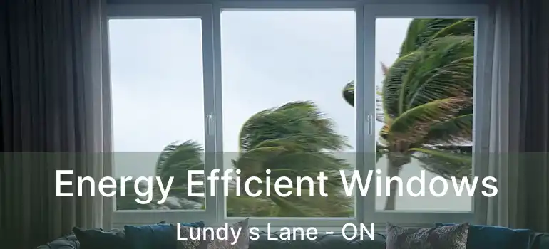  Energy Efficient Windows Lundy s Lane - ON