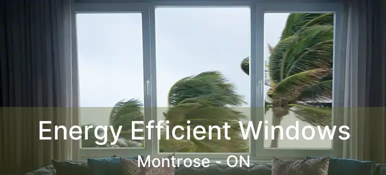  Energy Efficient Windows Montrose - ON