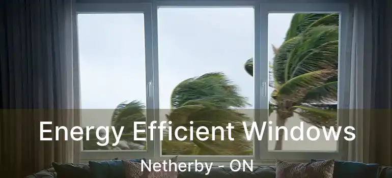  Energy Efficient Windows Netherby - ON