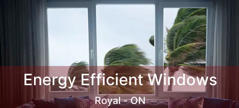  Energy Efficient Windows Royal - ON